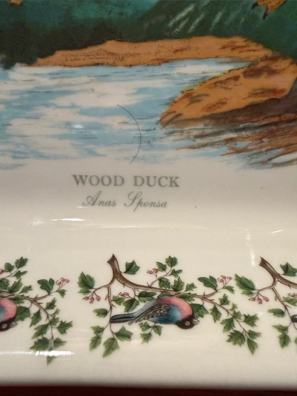 Portmeirion Birds of Britain Wood Duck Baking Dish
